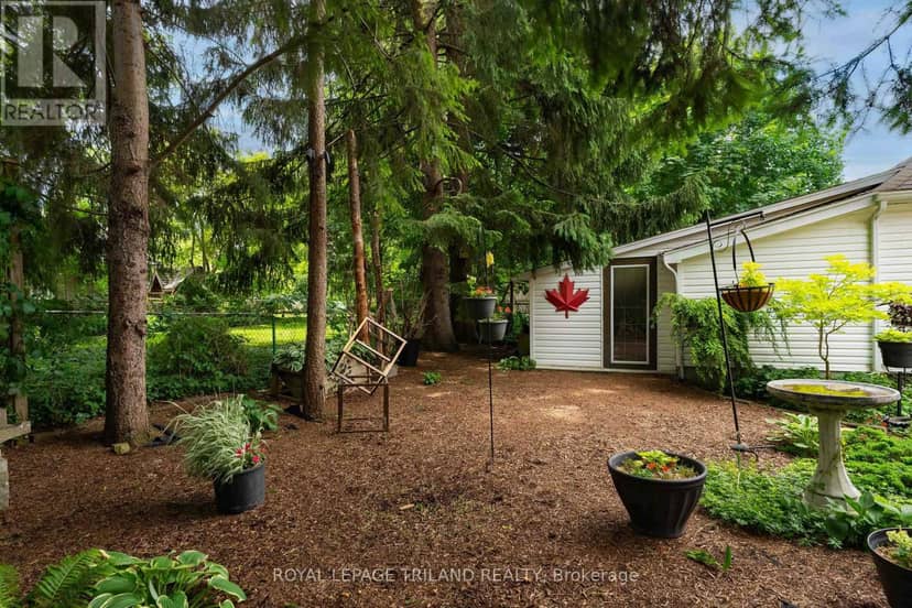 31 Chalmers Street — photo 40 of 40