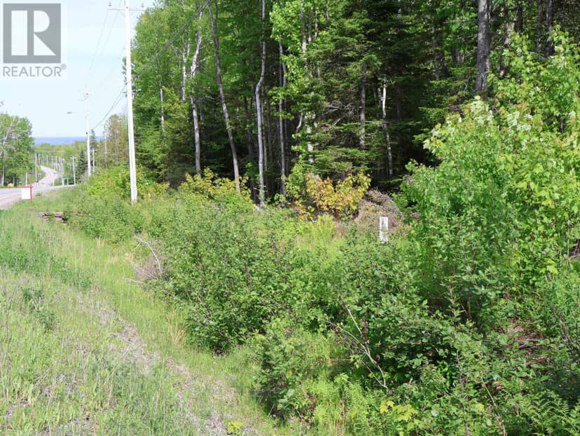 Lot 2, 3, 6 Leitches Creek Rd — photo 25 of 29