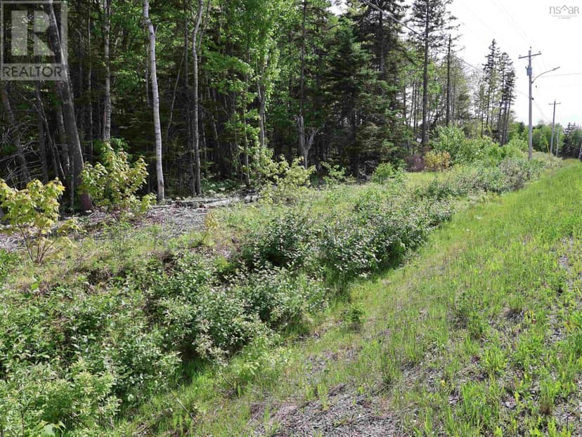 Lot 2, 3, 6 Leitches Creek Rd — photo 13 of 29