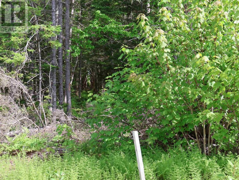 Lot 2, 3, 6 Leitches Creek Rd — photo 4 of 29