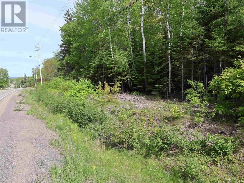 Lot 2, 3, 6 Leitches Creek Rd — photo 9 of 29