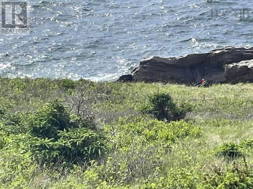 Cabot Trail — photo 4 of 11
