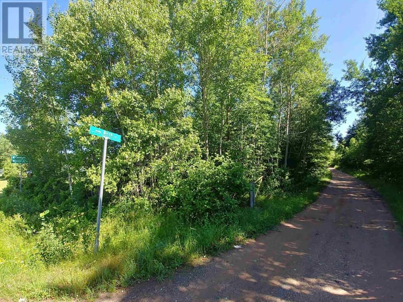 Lot 6 Birch Lane — photo 13 of 25