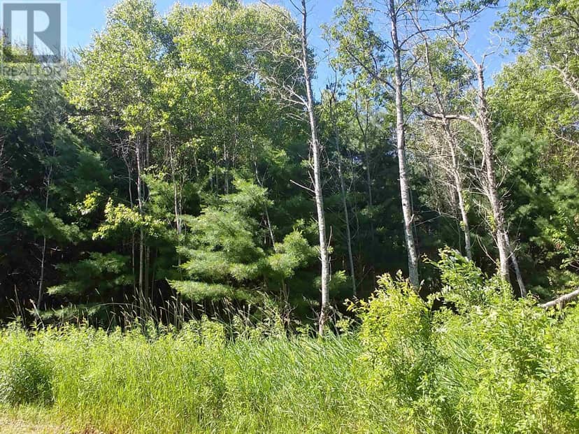 Lot 7 Birch Lane — photo 9 of 25