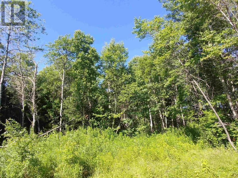 Lot 10 Birch Lane, Georgetown Royalty, photo 4