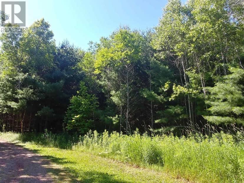Lot 12 Birch Lane — photo 9 of 25