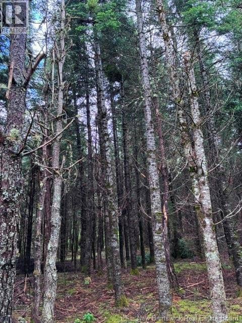 Lot Route 104 — photo 5 of 12