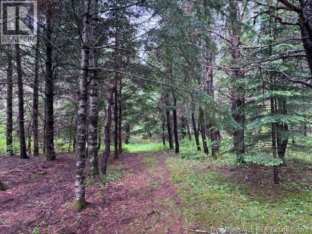 Lot Route 104 — photo 9 of 12