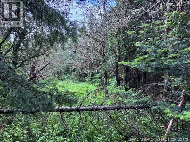 Lot Route 104 — photo 8 of 12