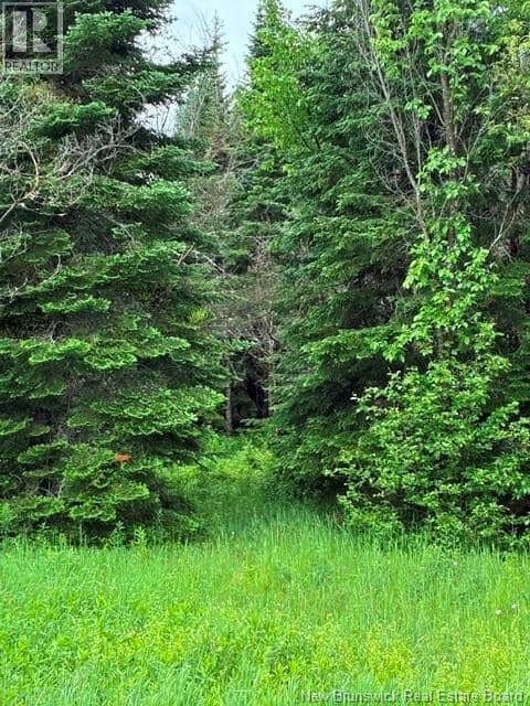Lot Route 104 — photo 4 of 12