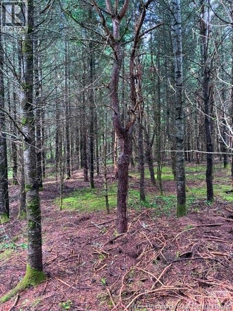 Lot Route 104 — photo 6 of 12