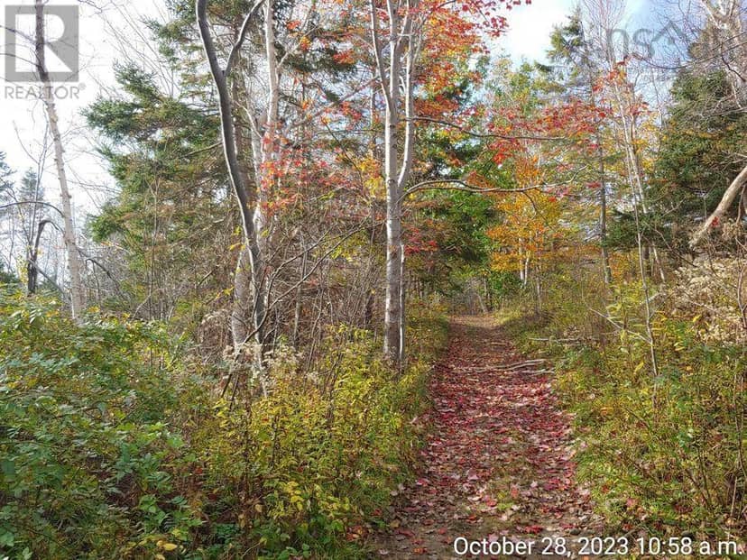 85 Mapleview Drive — photo 15 of 26
