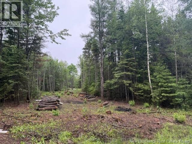 Lot 2 W P Black Lane, New Canaan, photo 2