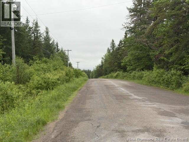 Lot 2 W P Black Lane, New Canaan, photo 3
