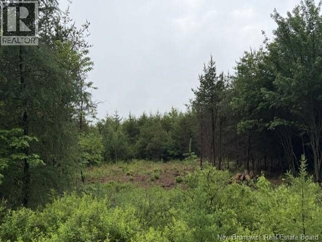 Lot 2 W P Black Lane, New Canaan, photo 6