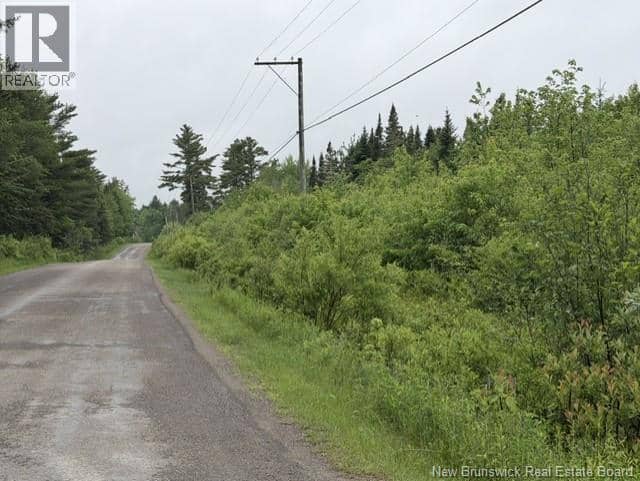 Lot 3 W P Black Lane, New Canaan, photo 4