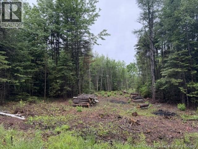 Lot 3 W P Black Lane — photo 10 of 11