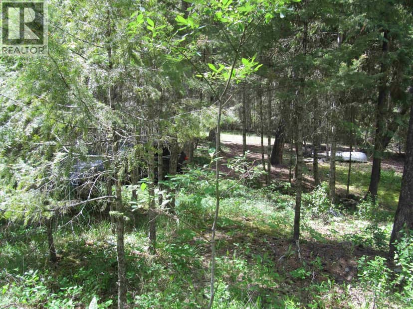 3817 CANIM-HENDRIX LAKE ROAD, Canim Lake, photo 6