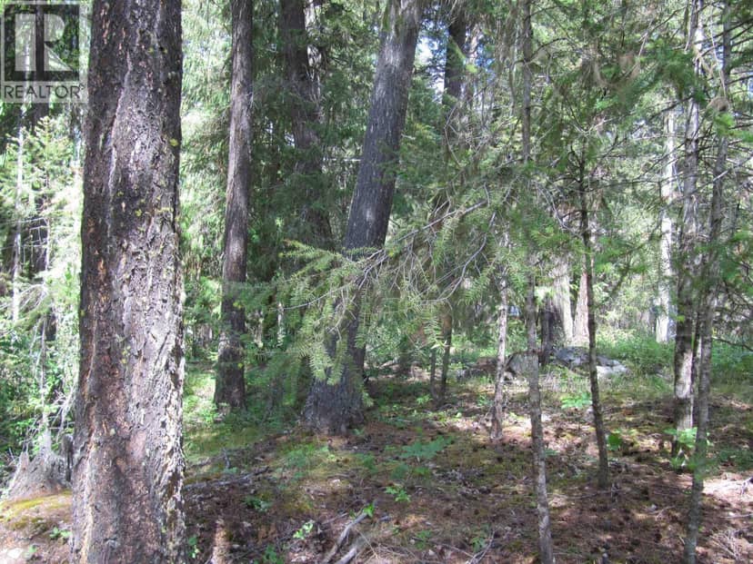 3817 CANIM-HENDRIX LAKE ROAD, Canim Lake, photo 7