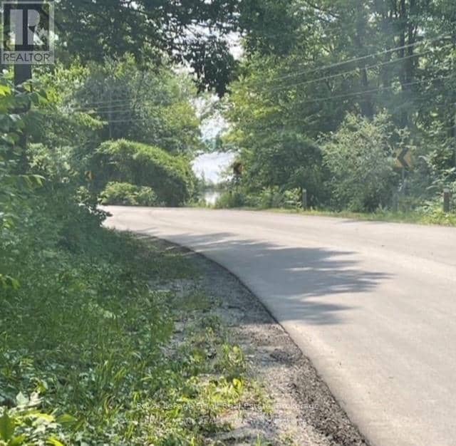 0 Balsam Lake Drive, Kawartha Lakes, photo 5
