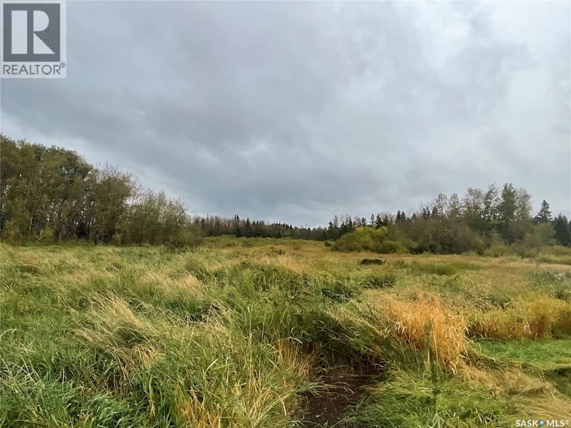 Picard Acreage — photo 22 of 28