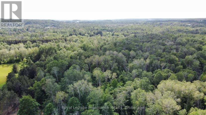 0 Teal (Rp 39R9098) Road, Quinte West, photo 8