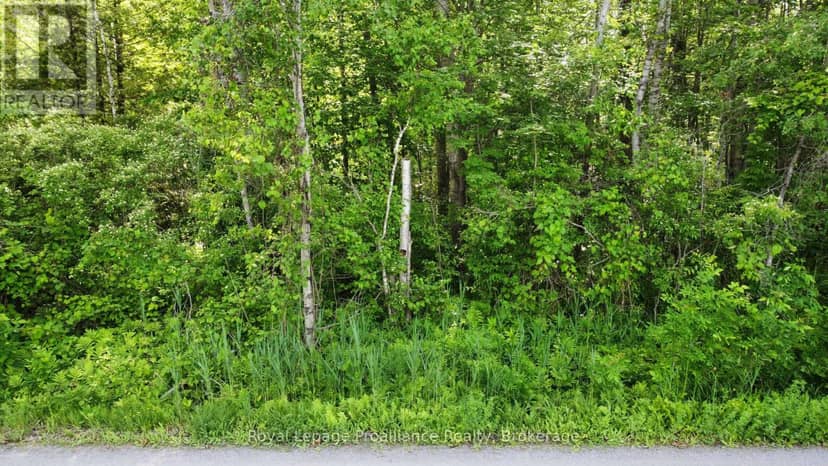 0 Teal (Rp 39R9098) Road, Quinte West, photo 6