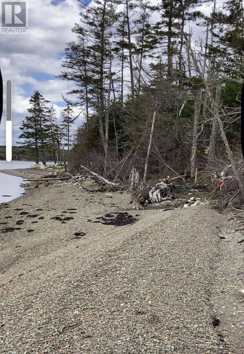 Lot 21-2 West Liscomb Point Road — photo 2 of 20