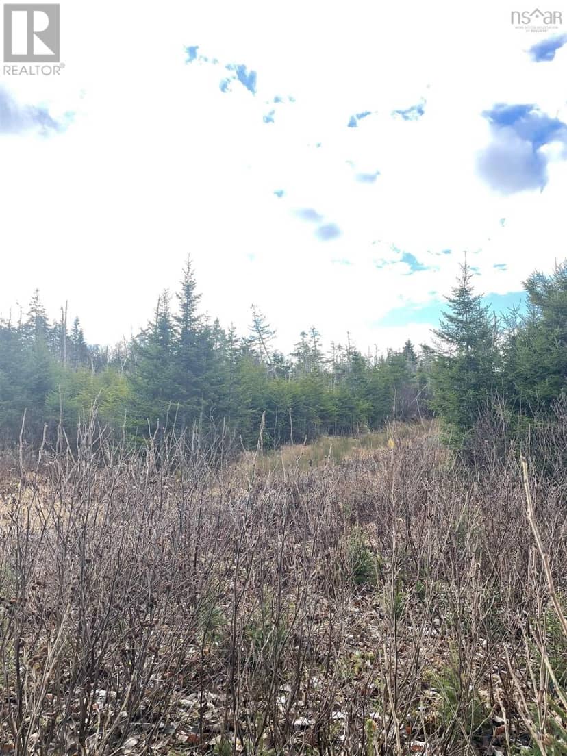 Lot 21-2 West Liscomb Point Road — photo 16 of 20