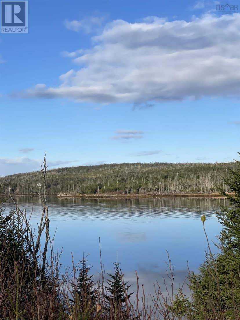 Lot 21-2 West Liscomb Point Road — photo 9 of 20