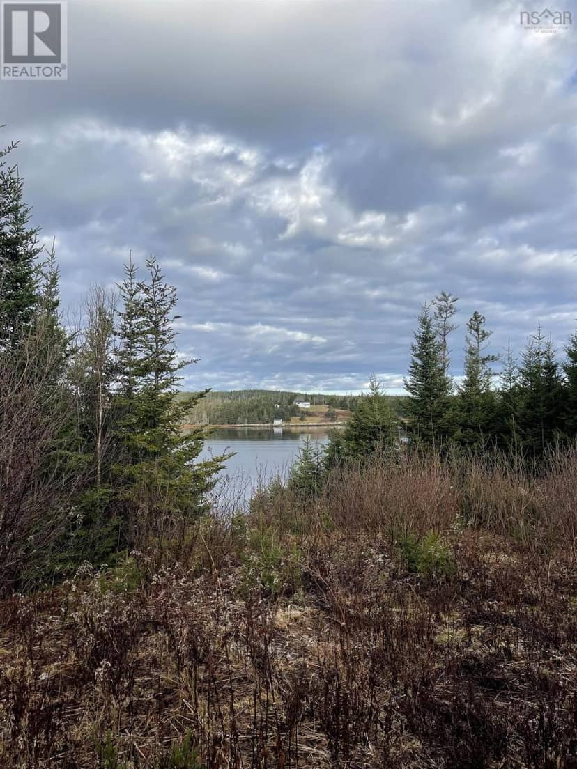 Lot 21-2 West Liscomb Point Road — photo 6 of 20