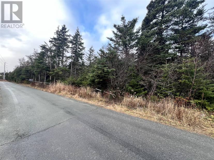 2 - 12 Cathill Road, Bay Roberts, photo 3