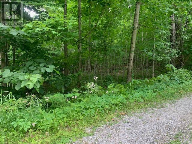 306 Hanna Road — photo 11 of 16