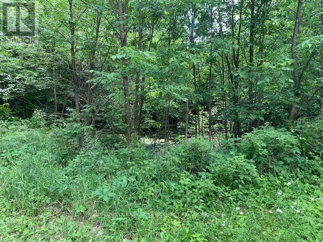 306 Hanna Road — photo 10 of 16