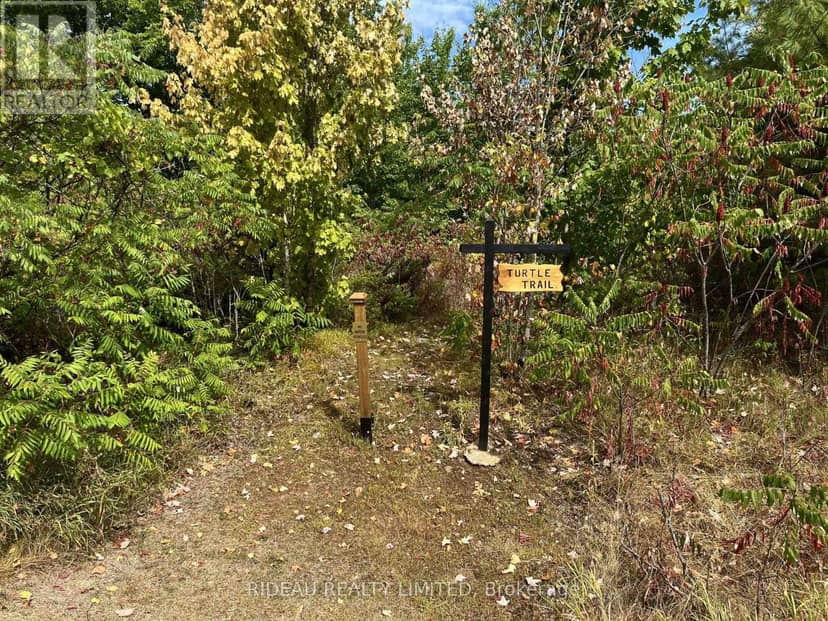 534 Oak Bluffs Road — photo 18 of 19