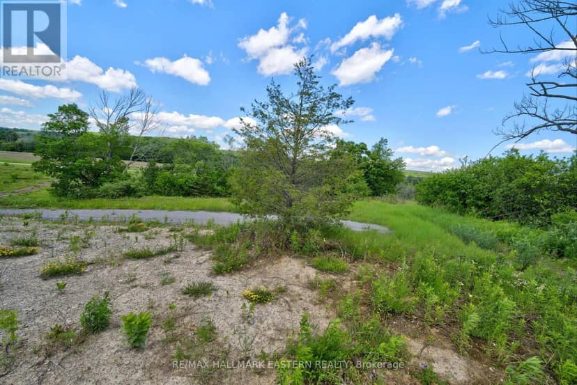 9179 Racetrack Road — photo 28 of 34