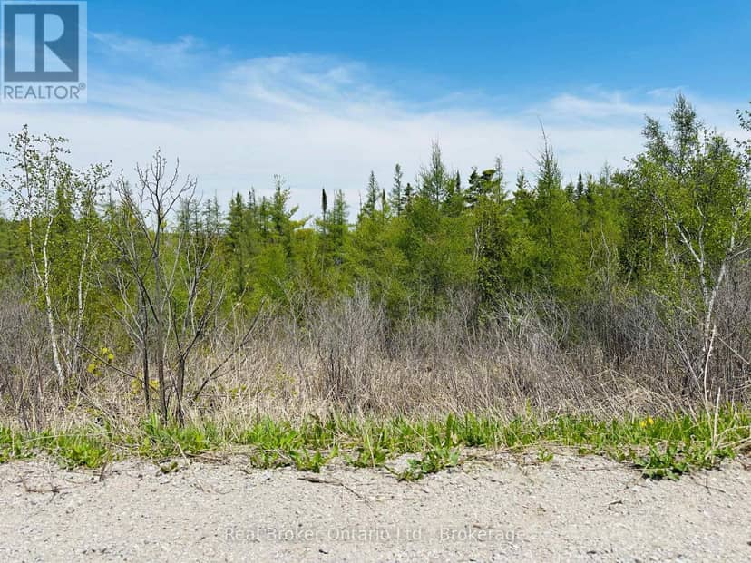 Lot 43 County Rd 16 Road, Severn, photo 5