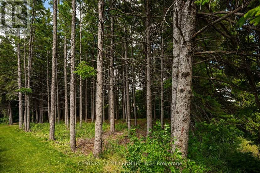 24 Buena Vista Drive — photo 9 of 23