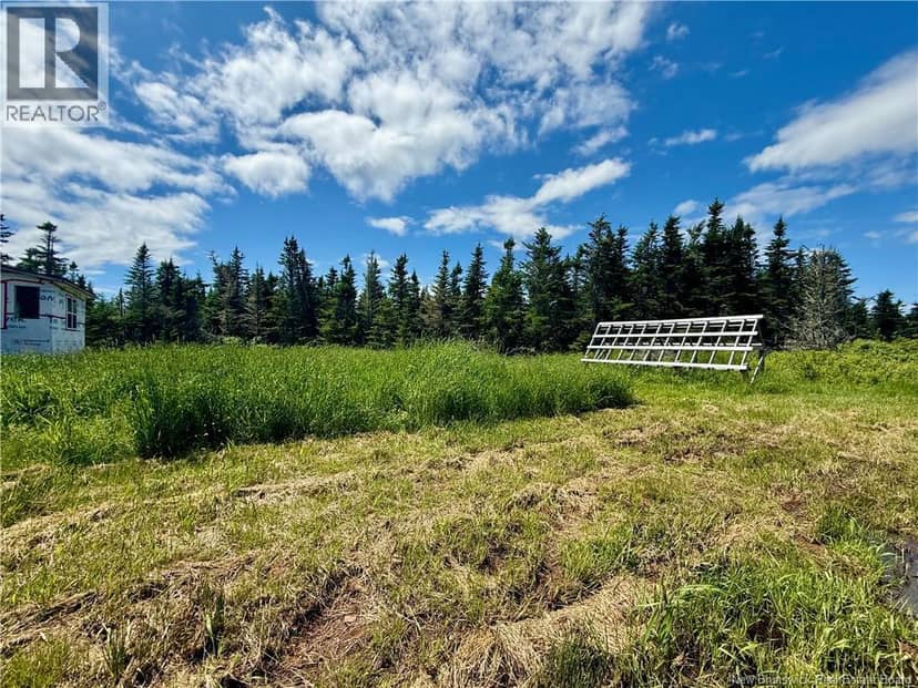 2041 Route 960, Upper Cape, photo 7
