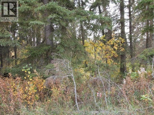 Lot 25 Bodnar Road, Brightsand Lake, photo 3