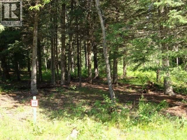 Lot 10 OAK Bay, Brightsand Lake