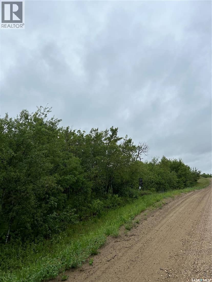 Riverview Road Acreage Lot, Rosthern Rm No. 403, photo 5