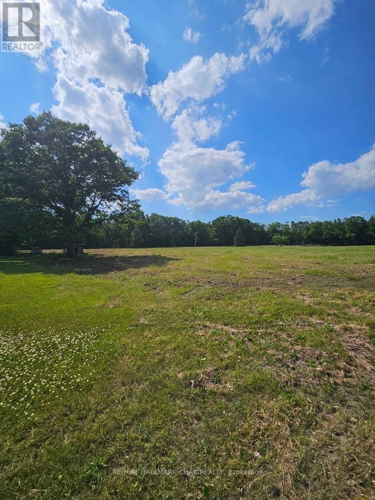 3450 20th Side Road — photo 2 of 4