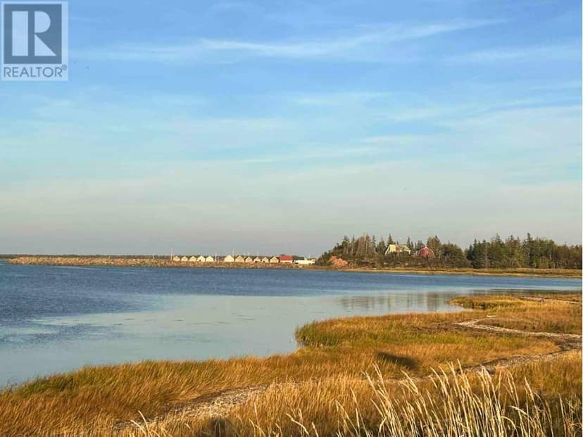 Lot 17 Phoebe Court, St. Peter's Harbour, photo 4