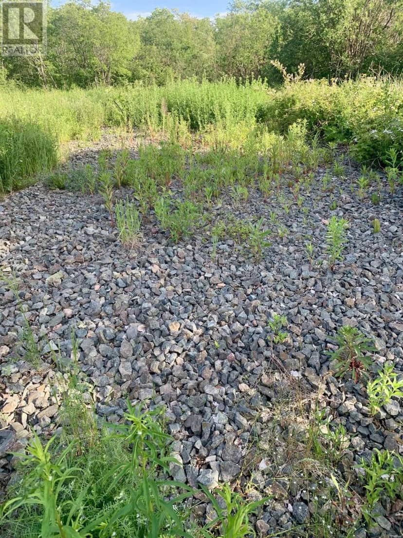 205 Thomas Dickson Road — photo 3 of 11