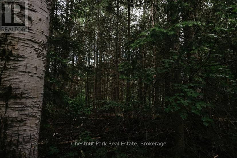 447 Fox Run — photo 21 of 40