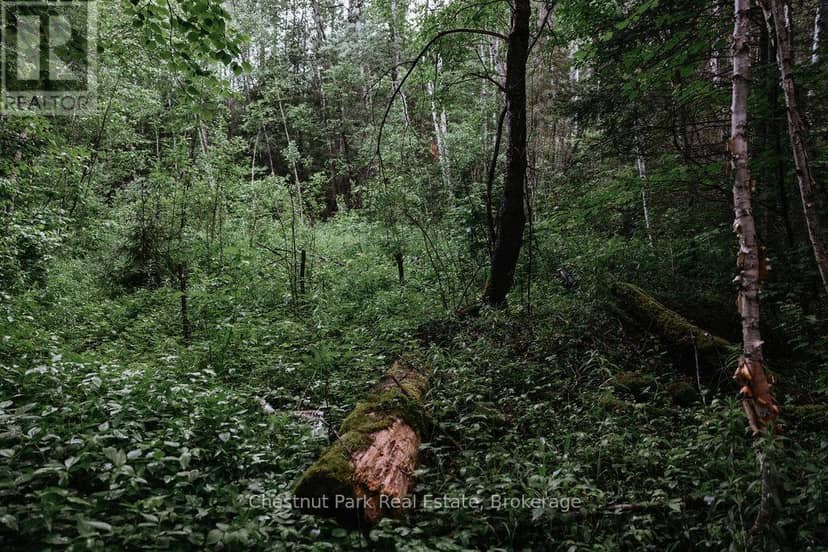 447 Fox Run — photo 39 of 40