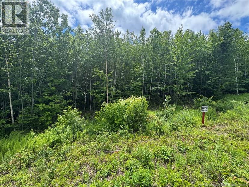 Lot 30 Misty Mountain Road — photo 31 of 33