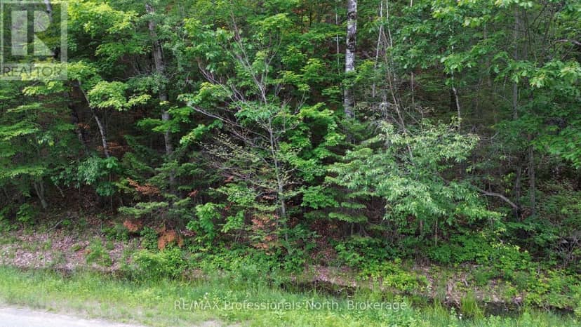 0 Trapper's Trail Road — photo 16 of 30