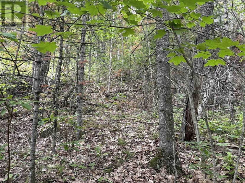 0 Trapper's Trail Road — photo 26 of 30